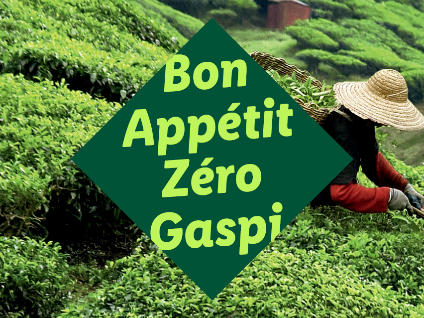 Une personne récoltant du thé dans un champ, avec le texte 'Bon Appétit Zéro Gaspi' sur un losange vert.