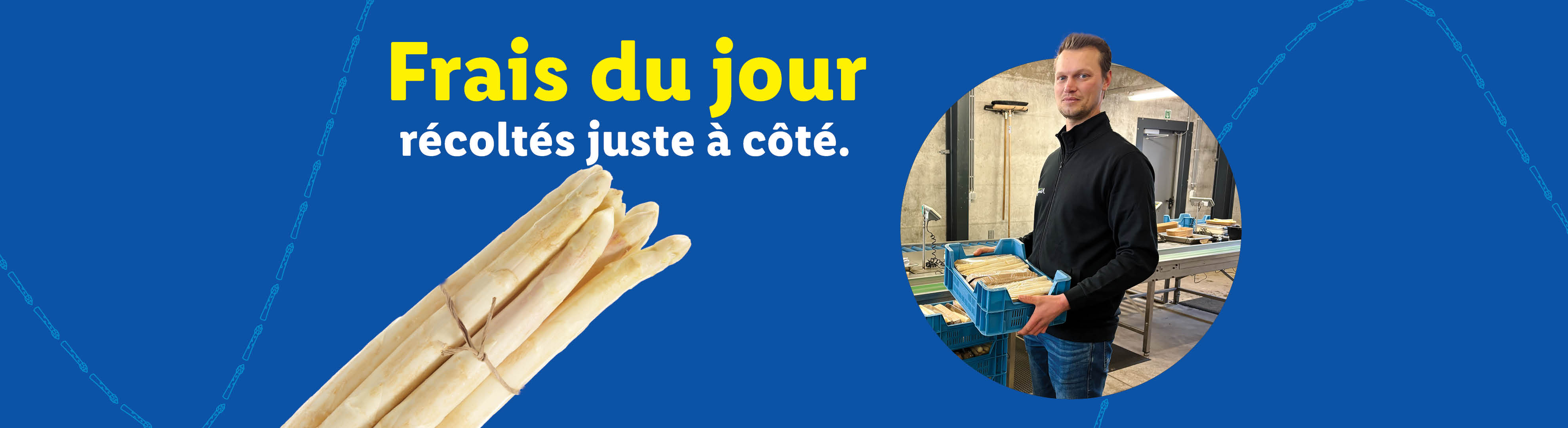 Un homme tient une caisse d'asperges blanches, avec le texte 'Frais du jour récoltés juste à côté'.