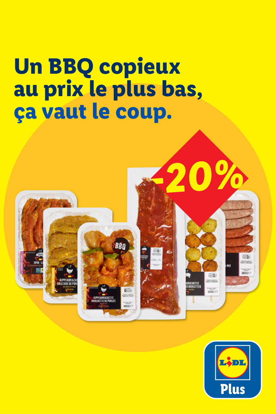 Assortiment de viandes et brochettes pour barbecue avec une réduction de 20%.