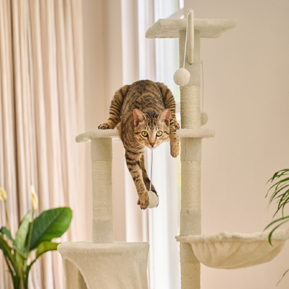 Un chat tigré joue sur un arbre à chat beige avec des jouets suspendus.