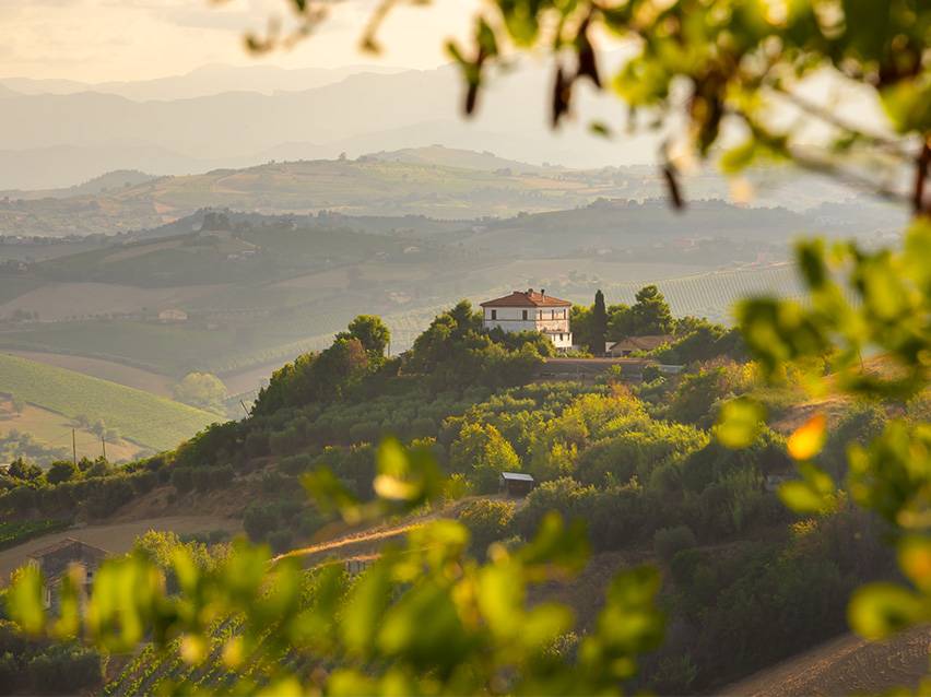 Une maison sur une colline entourée de vignobles et de collines sous un ciel brumeux.