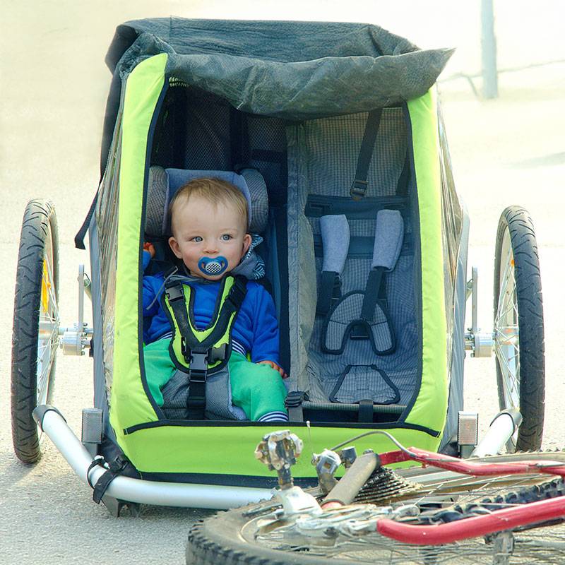 Bébé dans une remorque de vélo.