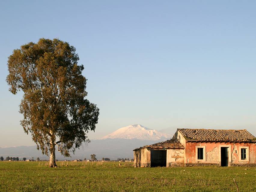 Paysage rural avec un arbre, une maison délabrée et une montagne enneigée en arrière-plan.