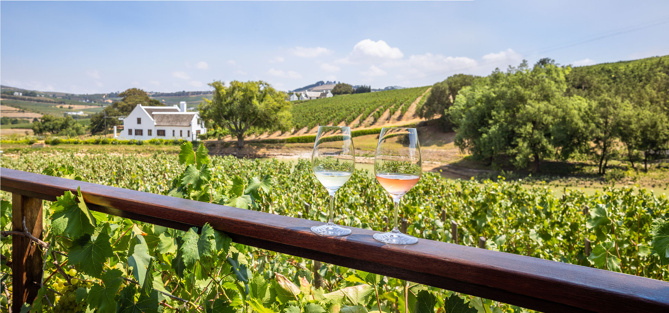 Deux verres de vin, blanc et rosé, avec un vignoble et une maison blanche en arrière-plan.