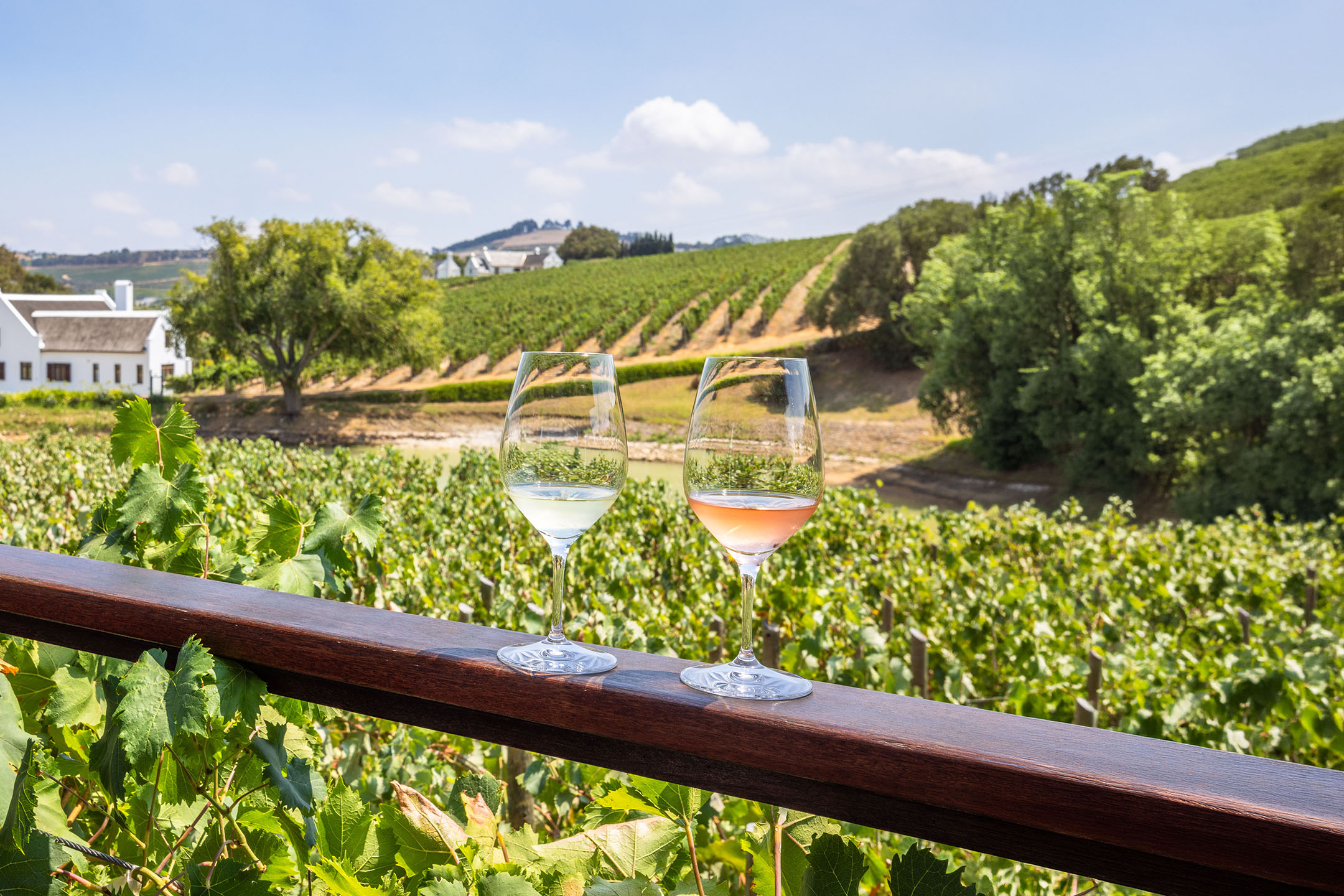 Deux verres de vin, blanc et rosé, sur une balustrade en bois avec un vignoble en arrière-plan.