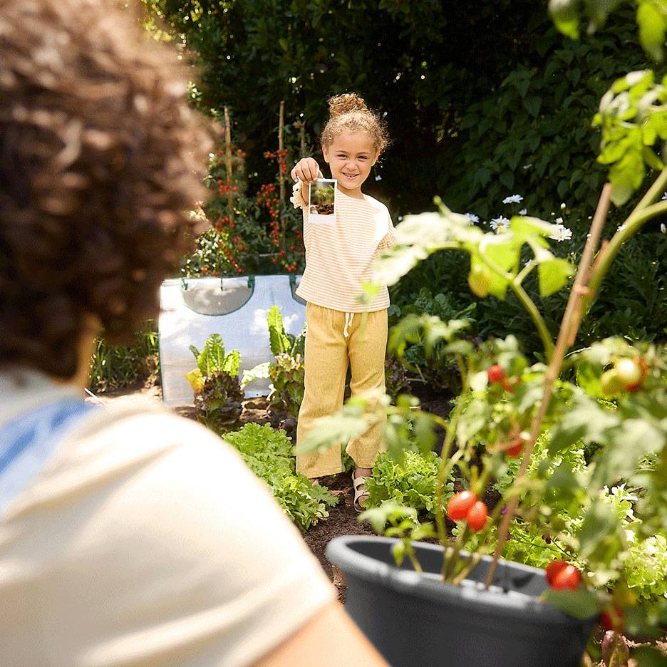 Enfant dans un jardin tenant une photo, avec des produits frais et un plant de tomates au premier plan.