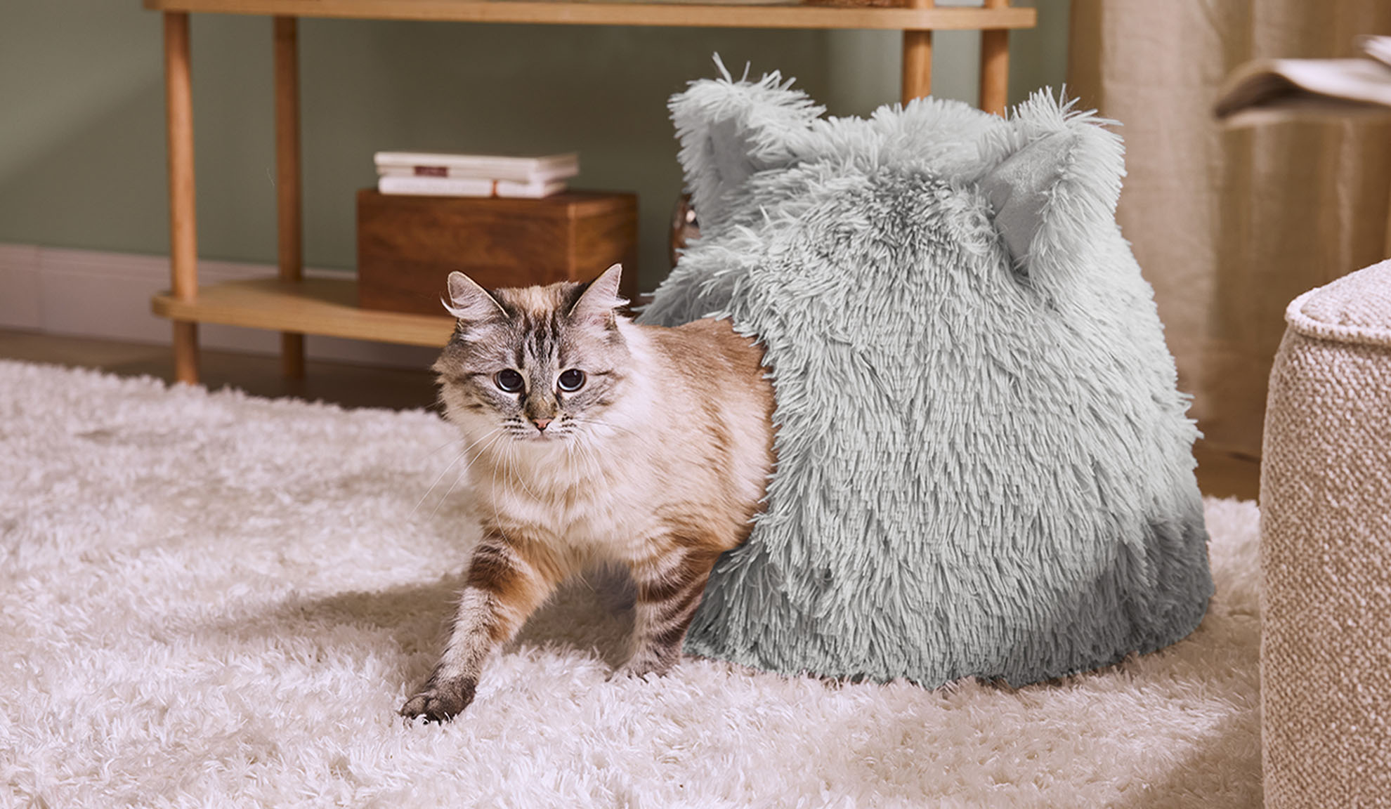 Un chat sortant d'un lit douillet gris sur un tapis blanc.
